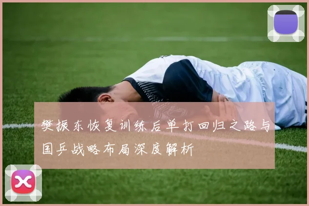 樊振东恢复训练后单打回归之路与国乒战略布局深度解析
